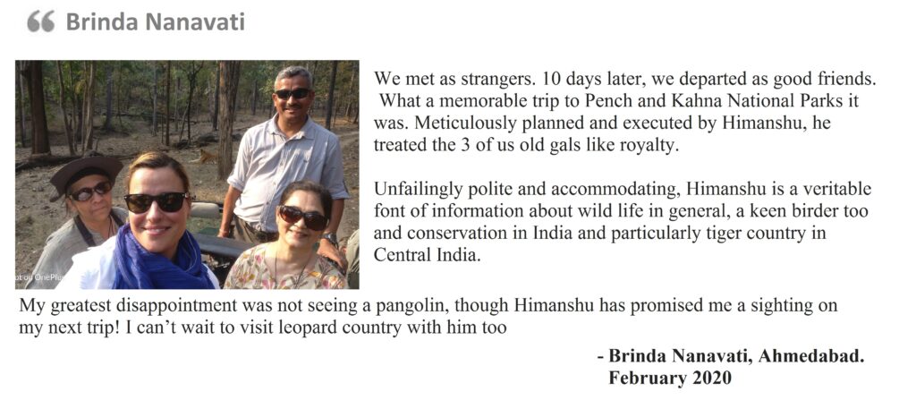 Brinda Nanavati - February 2020